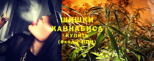 мдпв Магас