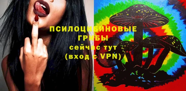 мдпв Магас