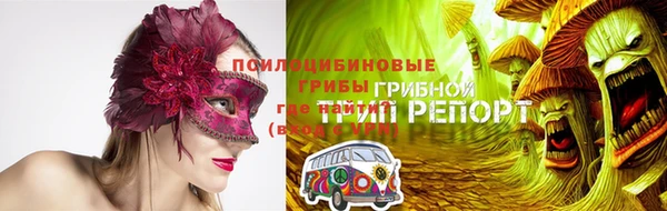стафф Абаза